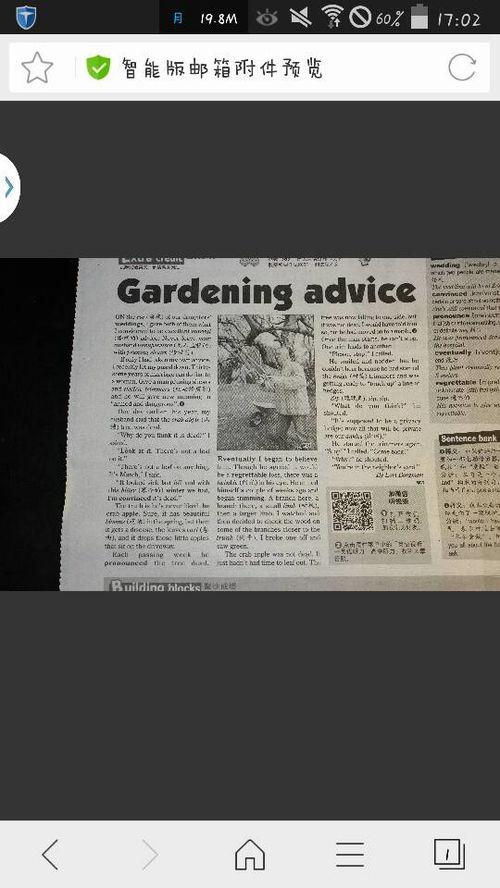 娱乐吃瓜酱英语翻译怎么写,From 'Entertainment Gossipy Sauce' to English: Crafting a Captivating Article Subtitle