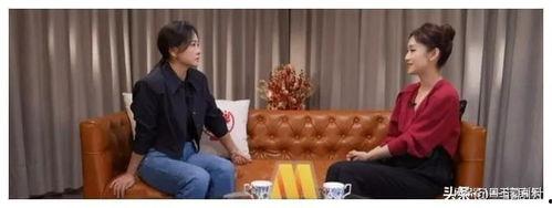 吃瓜娱乐圈检察组,吃瓜群众见证正义归来