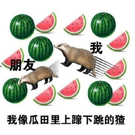 娱乐吃瓜猹