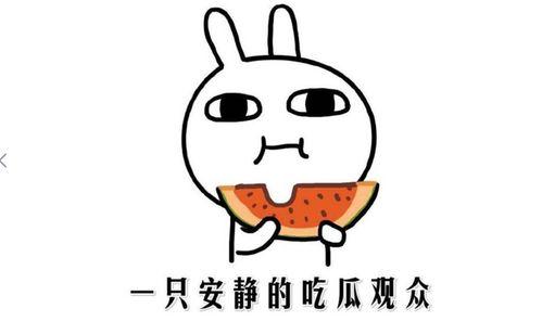 娱乐吃瓜酱知识怎么就进脑子里了,知识如何悄然植入脑海