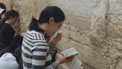 娱乐吃瓜君变形记