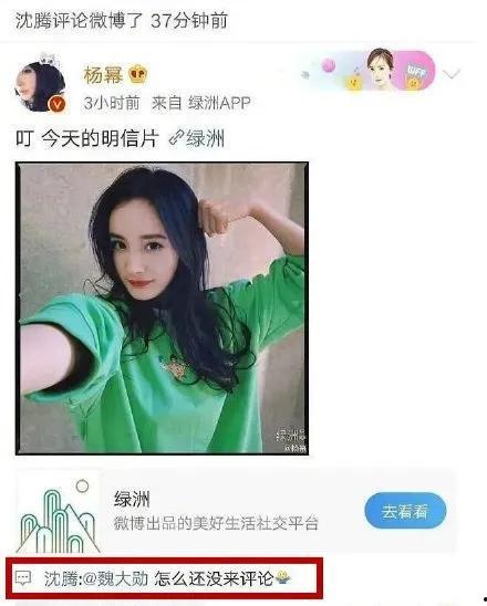 娱乐吃瓜小极,揭秘娱乐圈那些不为人知的幕后故事